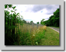N2008-07-17 172300